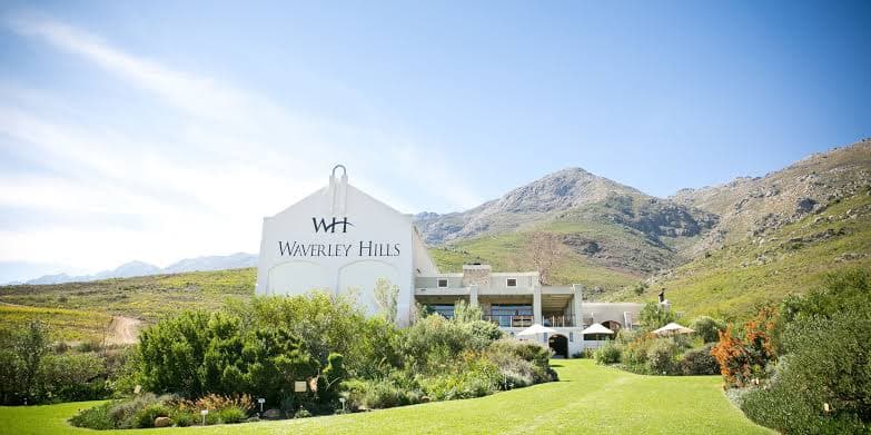 Waverley Hills Organic Wine and Olives