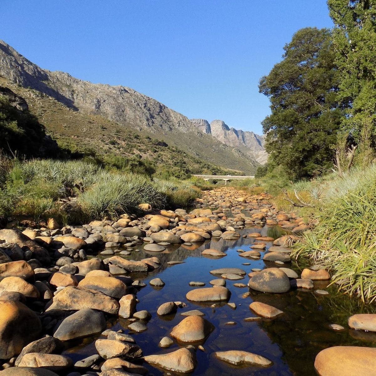 A rocky river bed below the mountains near Wolseley