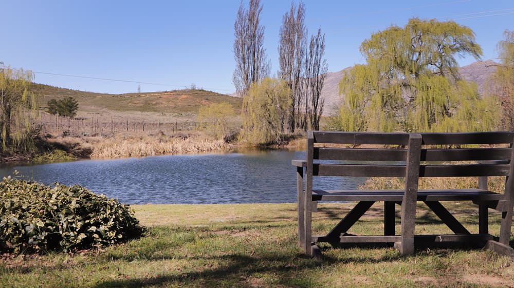 Klondyke Cottages & Camping