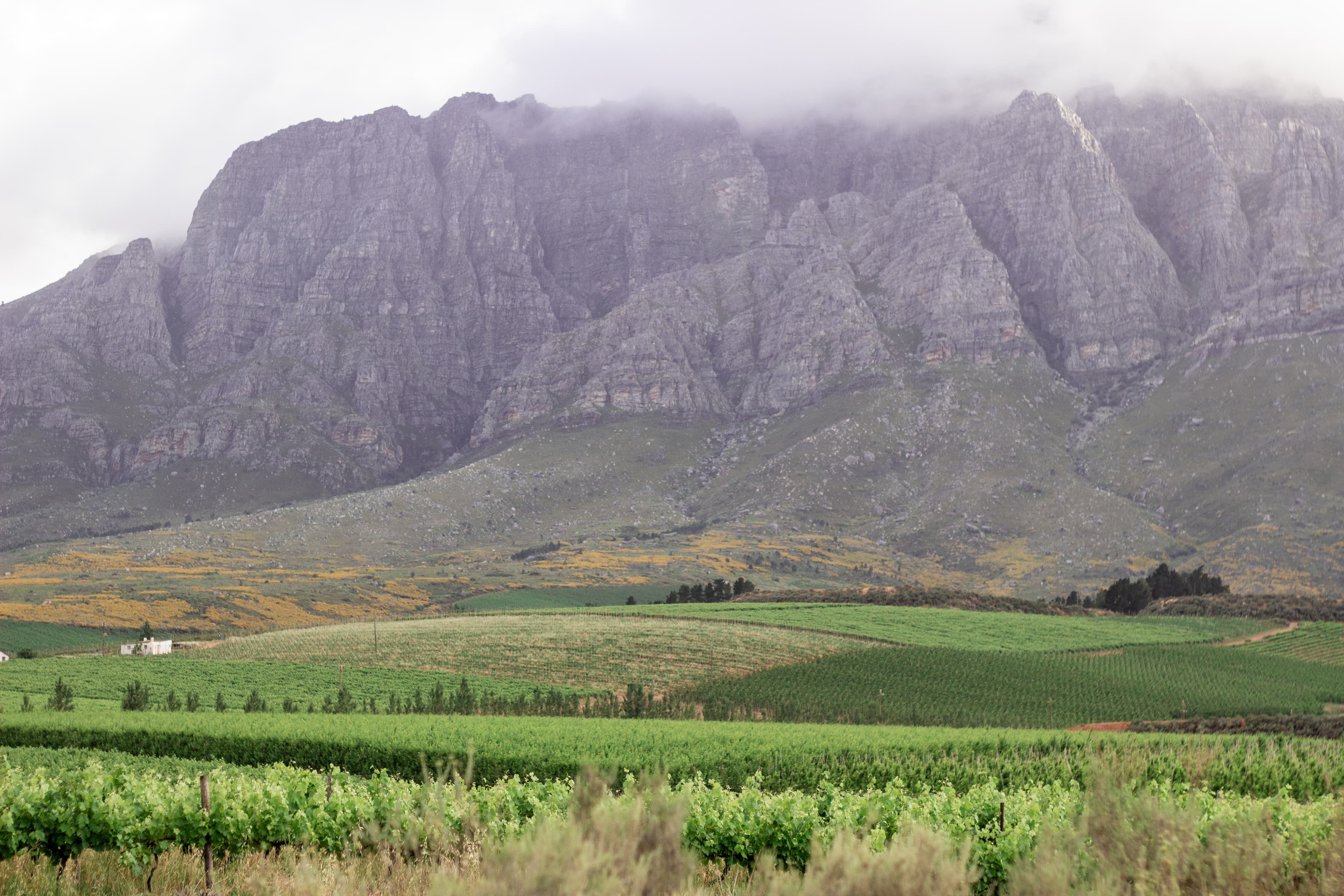 Waboomsrivier Wine Cellar