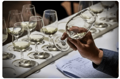 🏆Pure Terroir, Pure Gold: Celebrating Our Award-Winning Wineries🍷