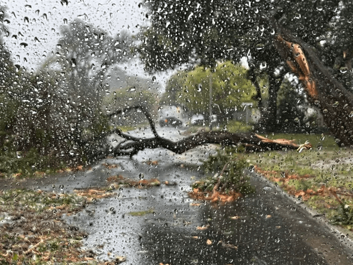 Wolseley Stories May 2026 Roundup | Resilience, Community Heroes & Hope 🙏