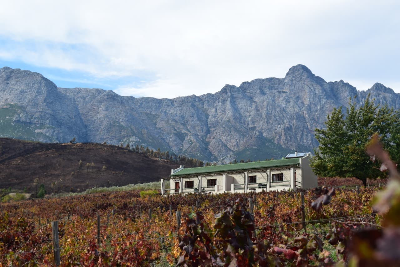 Vredehoek Guest Farm