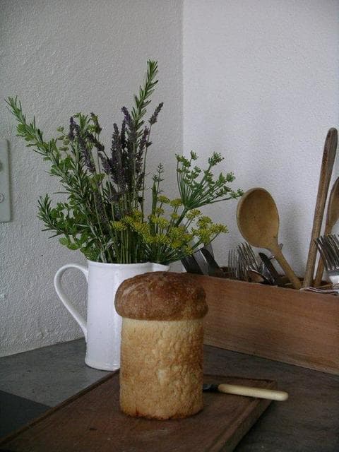 Die Kliphuisie